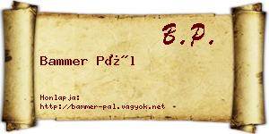 Bammer Pál névjegykártya